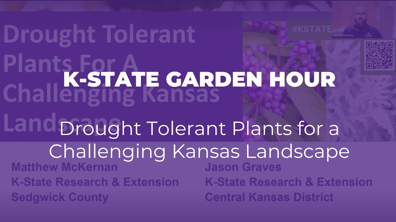 K-State Garden Hour: Drought Tolerant Plants for a Challenging Kansas Landscape