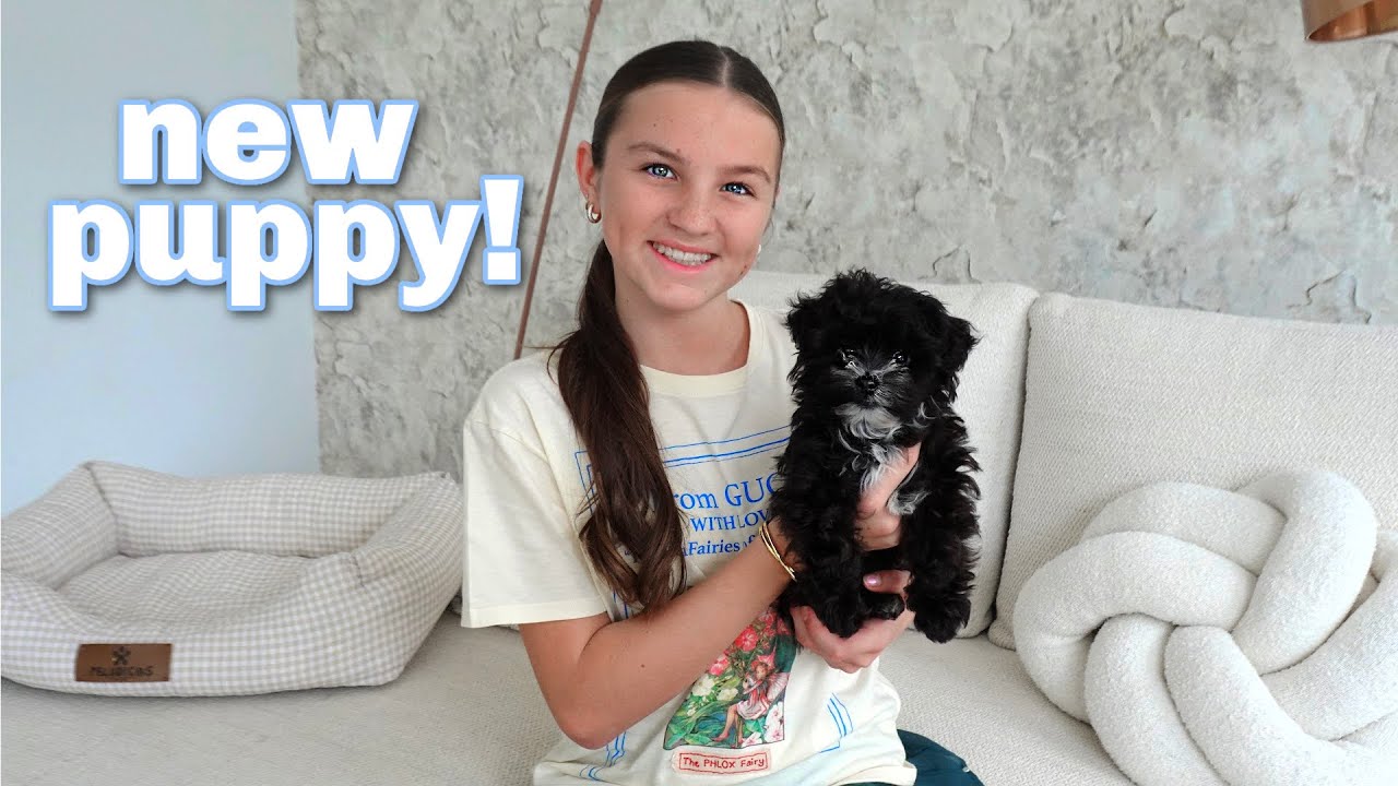 MEET MY NEW PUPPY!