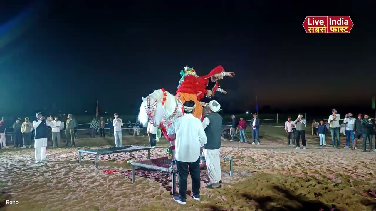 जब नेकीराम की घोड़ी नाची… तोगड़ा खुर्द में मचा तहलका 😍