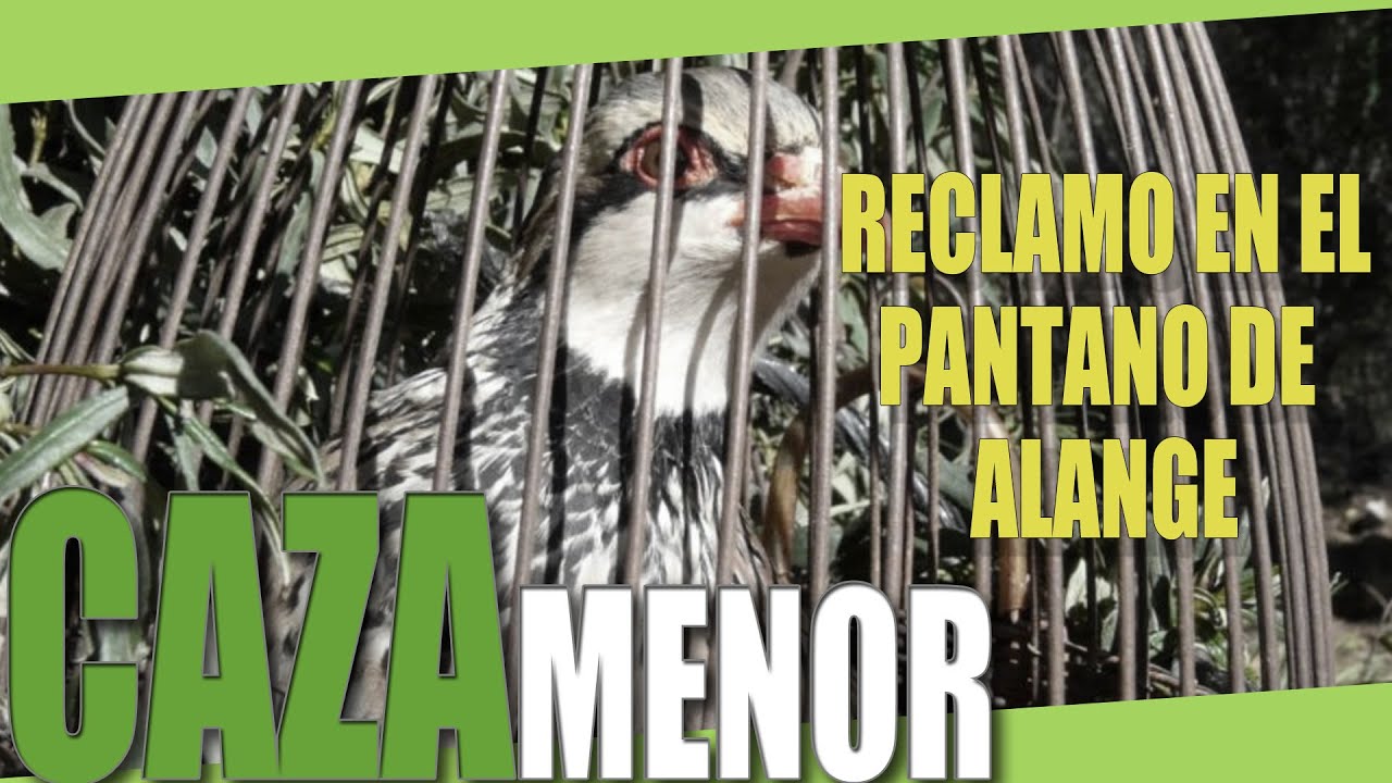 RECLAMO EN EL PANTANO DE ALANGE