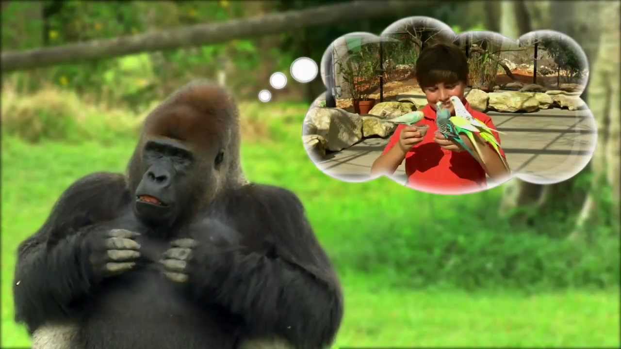 Zoo Miami - Keepin' It Wild!