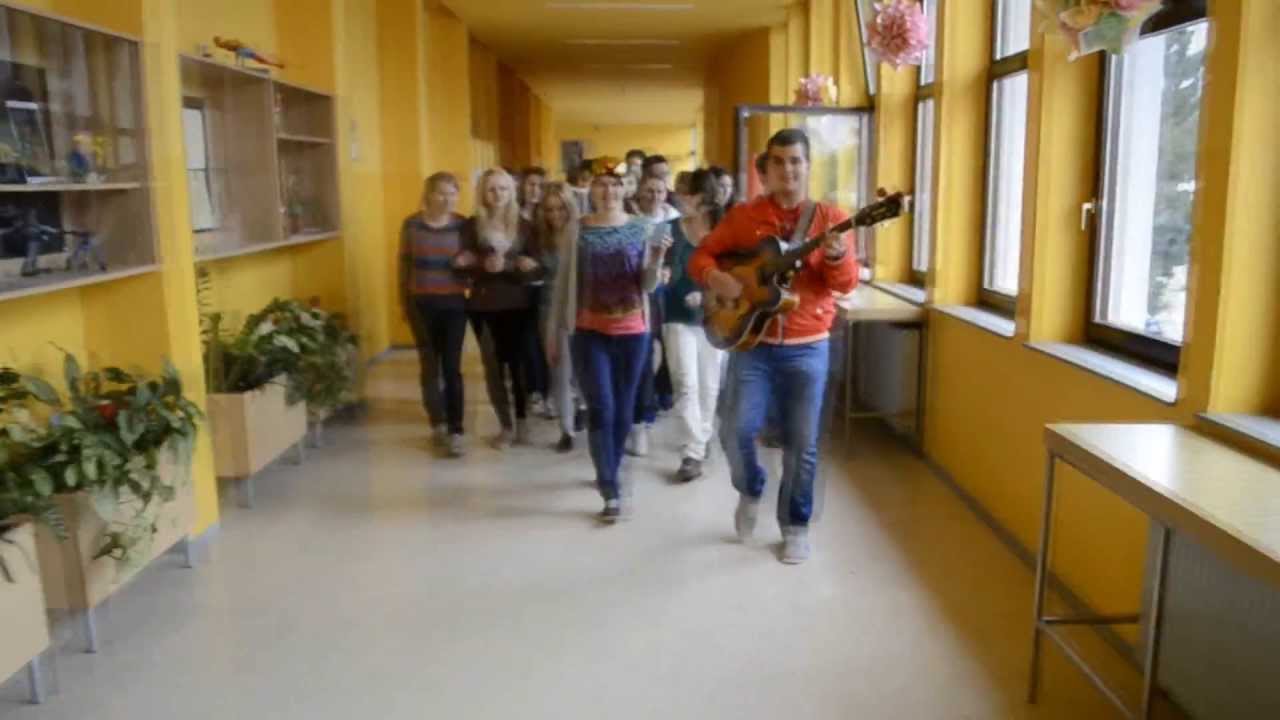 Srednja šola Domžale, predstavitveni film 4.F 2013