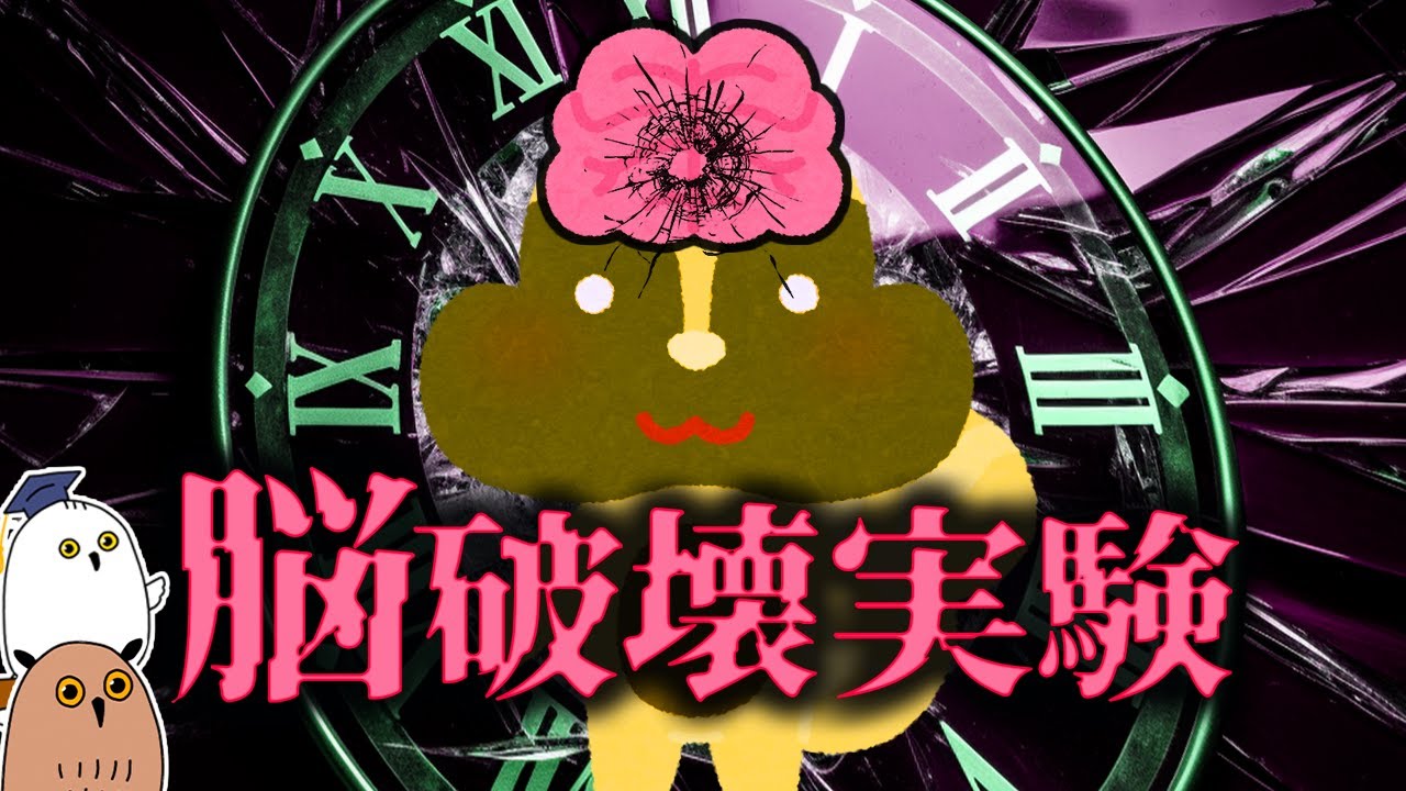 【ゆっくり解説】脳内の時計を破壊すると?：概日リズムの進化【 進化論 / 科学 / 脳 / 古生物 】