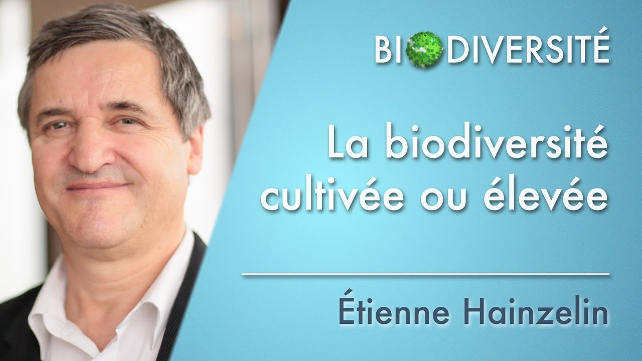 La biodiversité cultivée ou élevée