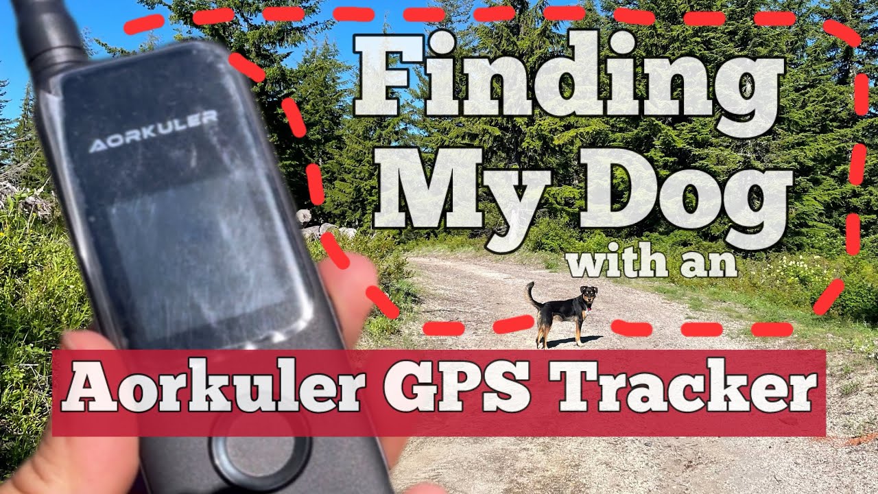 Review: How Does the Aorkuler GPS Dog Tracker Work?