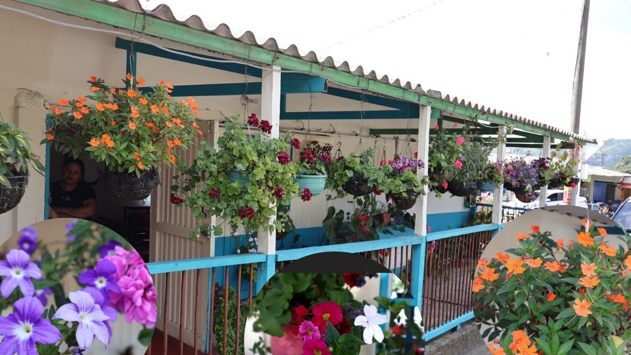 EL JARDIN DE DOÑA CECILIA Y GLORIA 🥰