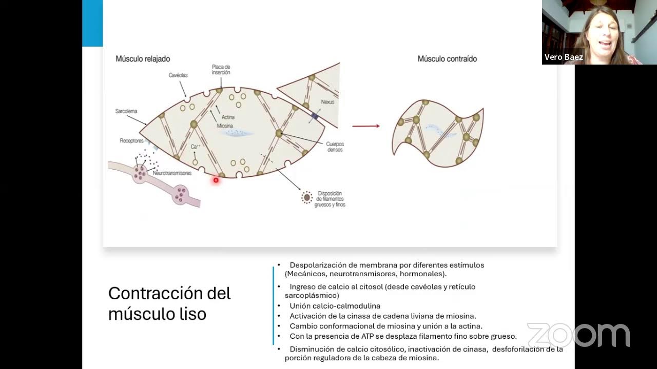 PARALEO DE HISTOLOGIA- TEJIDO OSEO- TEJIDO CARTILAGINOSO- TEJIDO MUSCULAR