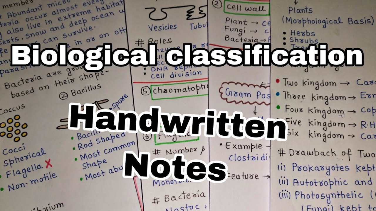 Biological Classification Part - 1 | Class 11th | Biology | NEET | Handwritten Notes #neet2024