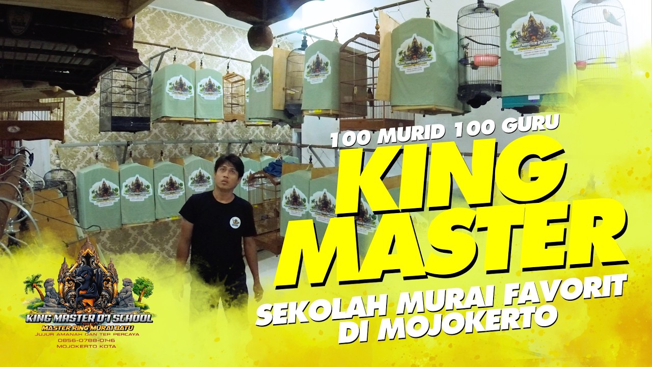 KING MASTER 07😍100 учеников учатся в ЛЮБИМОЙ ШКОЛЕ МУРАЯ БАТУ Mojokerto