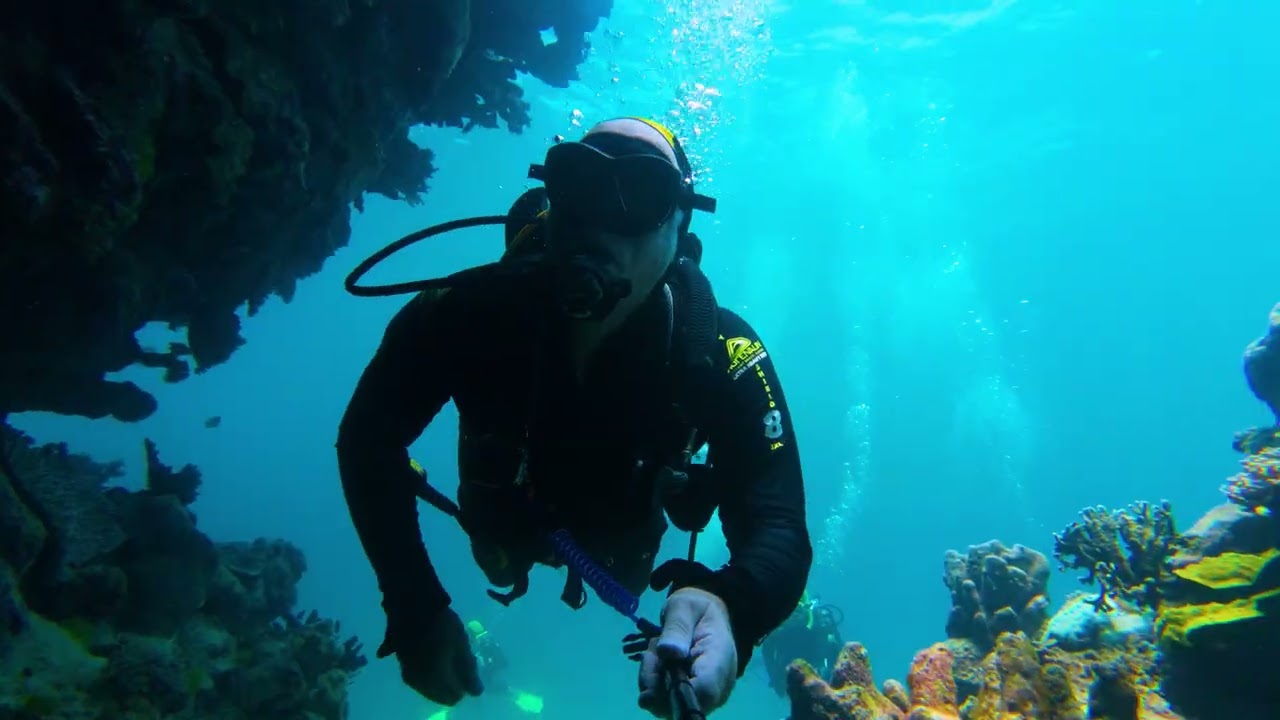 Scuba Diving Flynn Reef, Great Barrier Reef Cairns January 2026