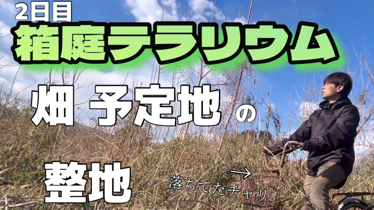 【週末農家】畑の篠やら雑木を草刈りで刈り取ってたら廃棄物もでるし……(箱庭テラリウム2日目)