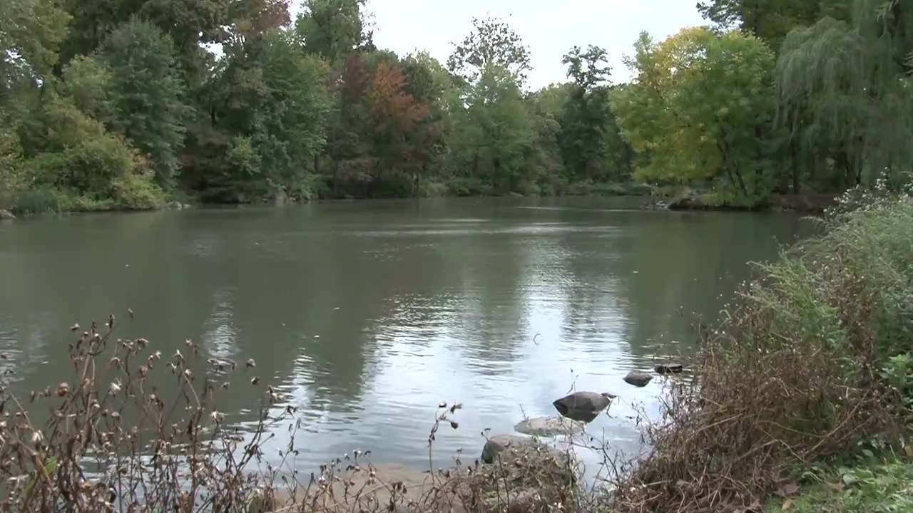 Test Footage with Sony HXR-NX5U
