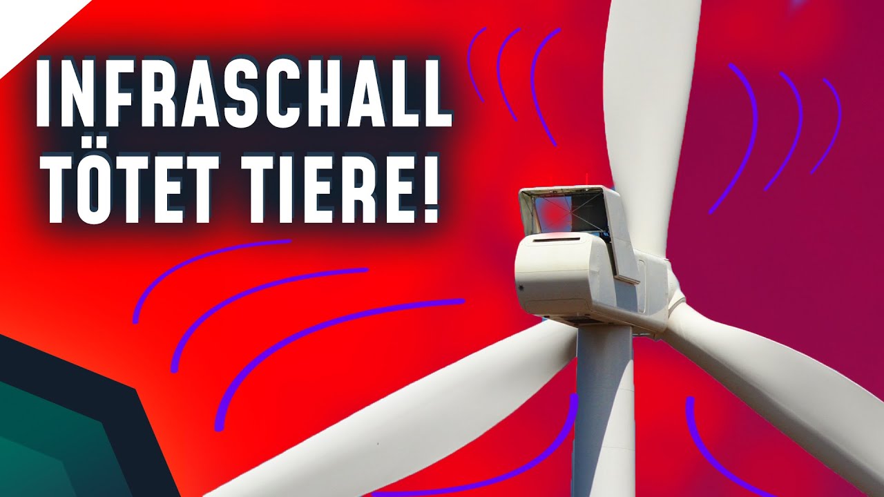 Windkrafträder gefährlich? Infraschall wissenschaftlich geprüft | Breaking Lab