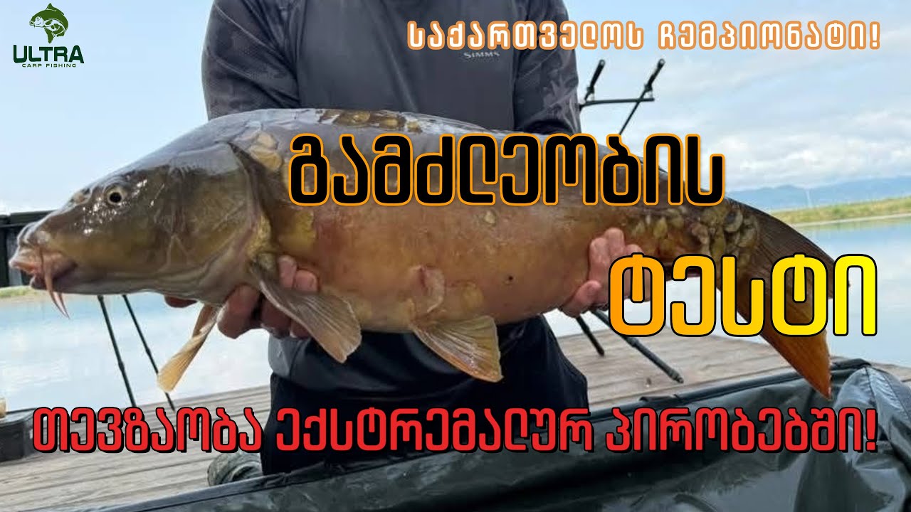 კობრზე თევზაობა კახეთში: ტალახი, კოღო, გაუსაძლისი სიცხე და ბევრი თევზი!