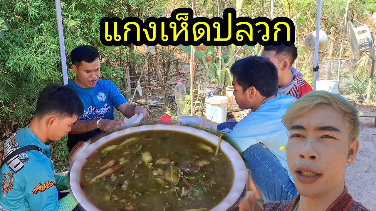 Ep: 1350 บ่าวเอื้อแกงเห็ดปลวกให้เพื่อนๆกิน แช่บๆ