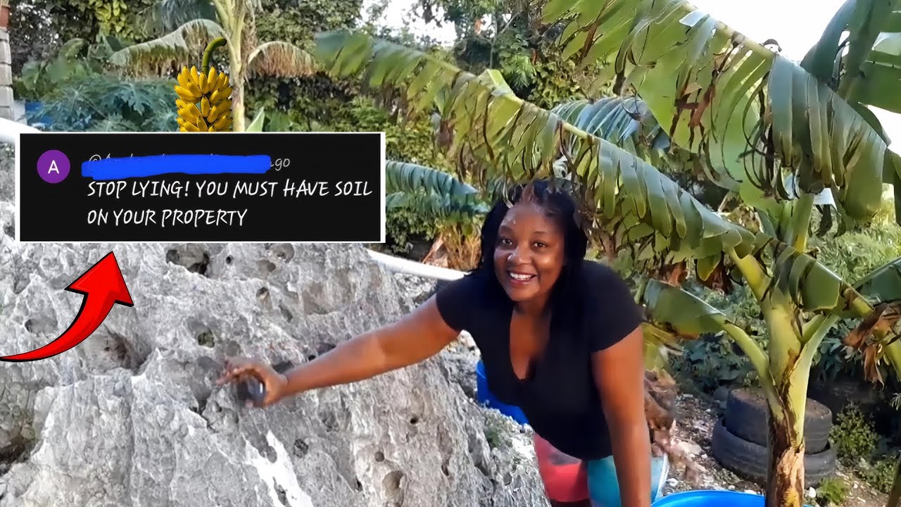 They Say I'm LYING! But Why? Growing Food In Containers On Rocks All Year Round 
