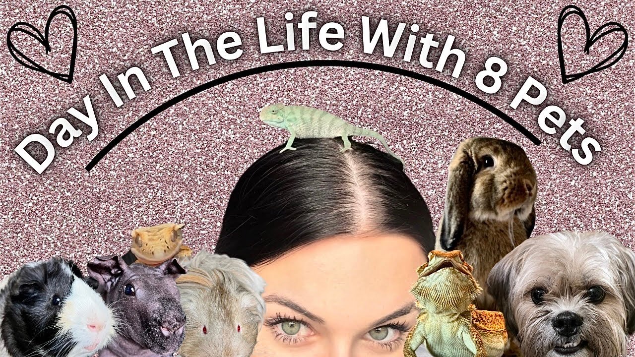 Day In The Life With 8 Pets Who Live In My Room!!! (CHAOS)
