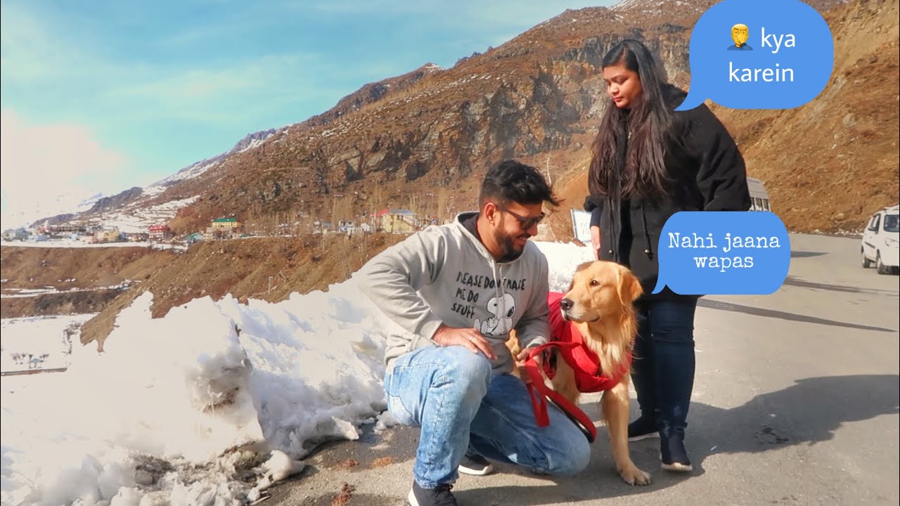 Atal Tunnel - Dog in snow first time