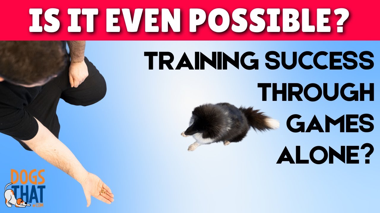 Creating a Well Trained Dog With Games Alone with Susan Garrett