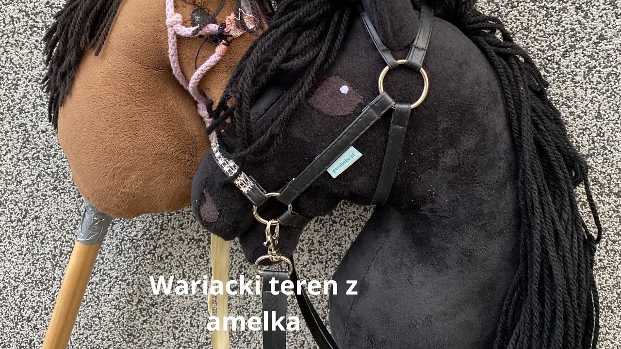 Wariacki treren z amelka na hobby horsch @magorzatastokowska4369