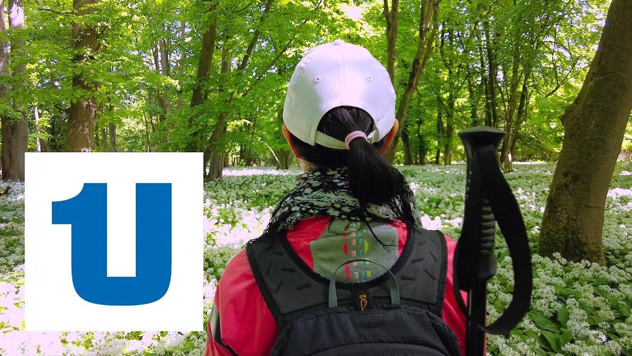 Dyckerhoff Rundwanderweg in Lengerich