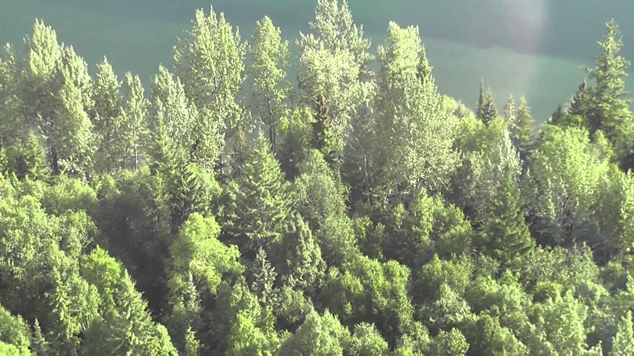 Mount Polley Mine Trailings Pond Breach