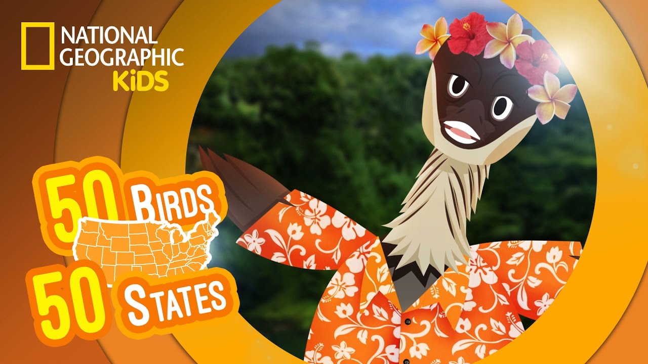 Hawaii - Feat. Rapper MC Nene the Nene | 50 Birds, 50 States