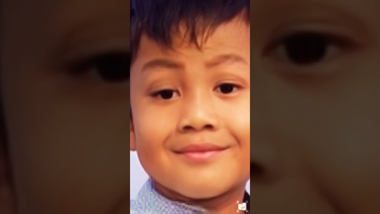 bermain bernyanyi baby shark 