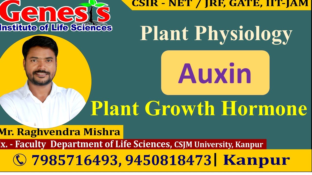 Auxin | Plant Hormone | Plant Physiology | CSIR NET/JRF | Life science | GATE| DBT