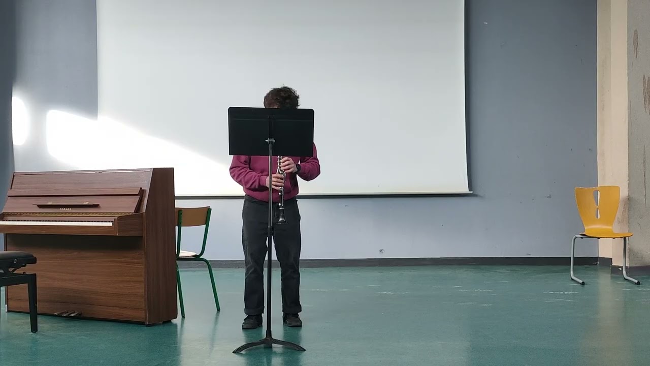 6. Suite pour violon solo n°1 - JS Bach