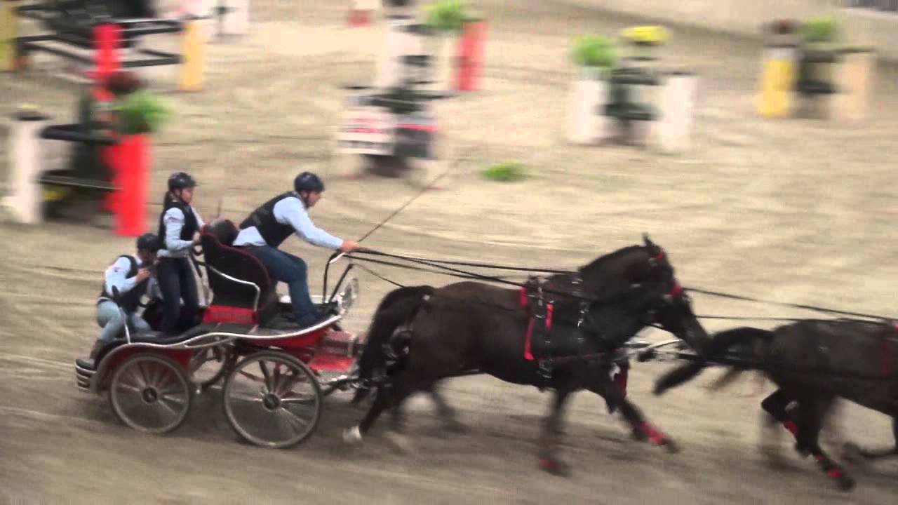 Glenn Geerts showgroep vierspannen paard Voornruiters 3okt2015