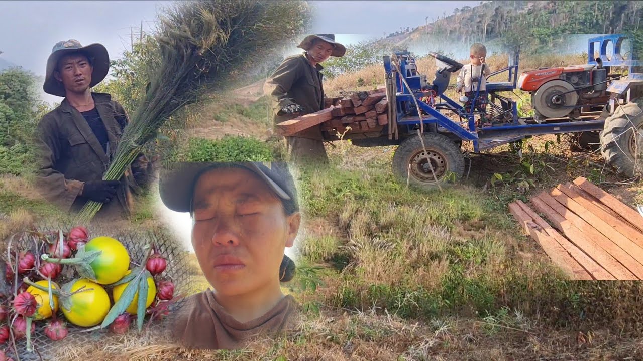 8 กุมภาพันธ์ ค.ศ. 2026