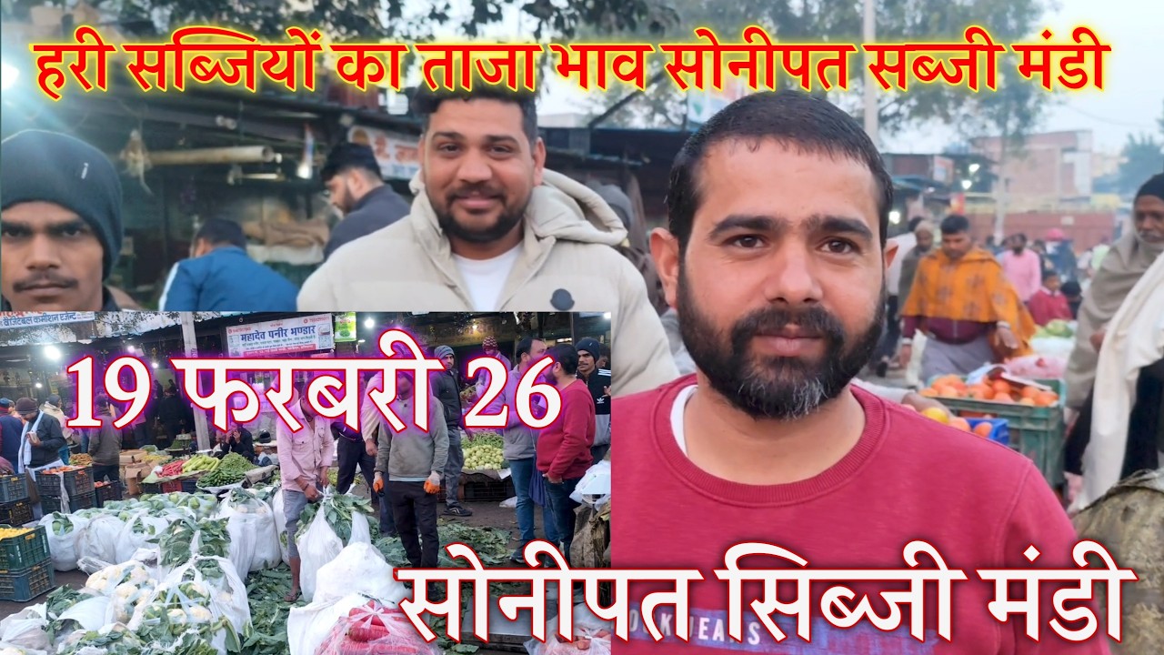 सभी हरी सब्जियों का ताजा भाव सोनीपत सब्जी मंडी शॉप नंबर 12 | पालक धनिया मेथी और गोभी का होलसेल रेट