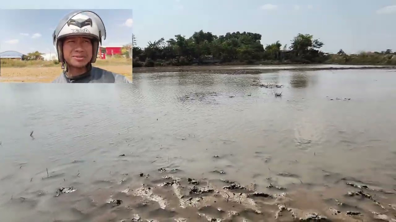 ມາຫລີ້ນຂີ້ຕົ້ມ