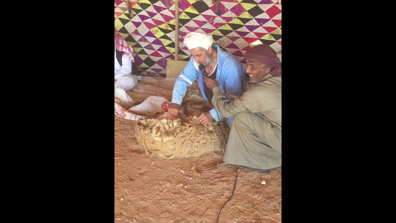 مجلم عيت جهمي الكميلات