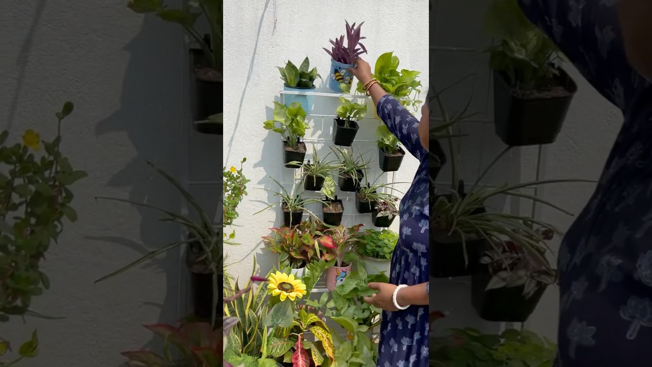 Plant stand for indoor plants || No cost vertical garden 🪴 #trendingshorts #amzonmustbuy