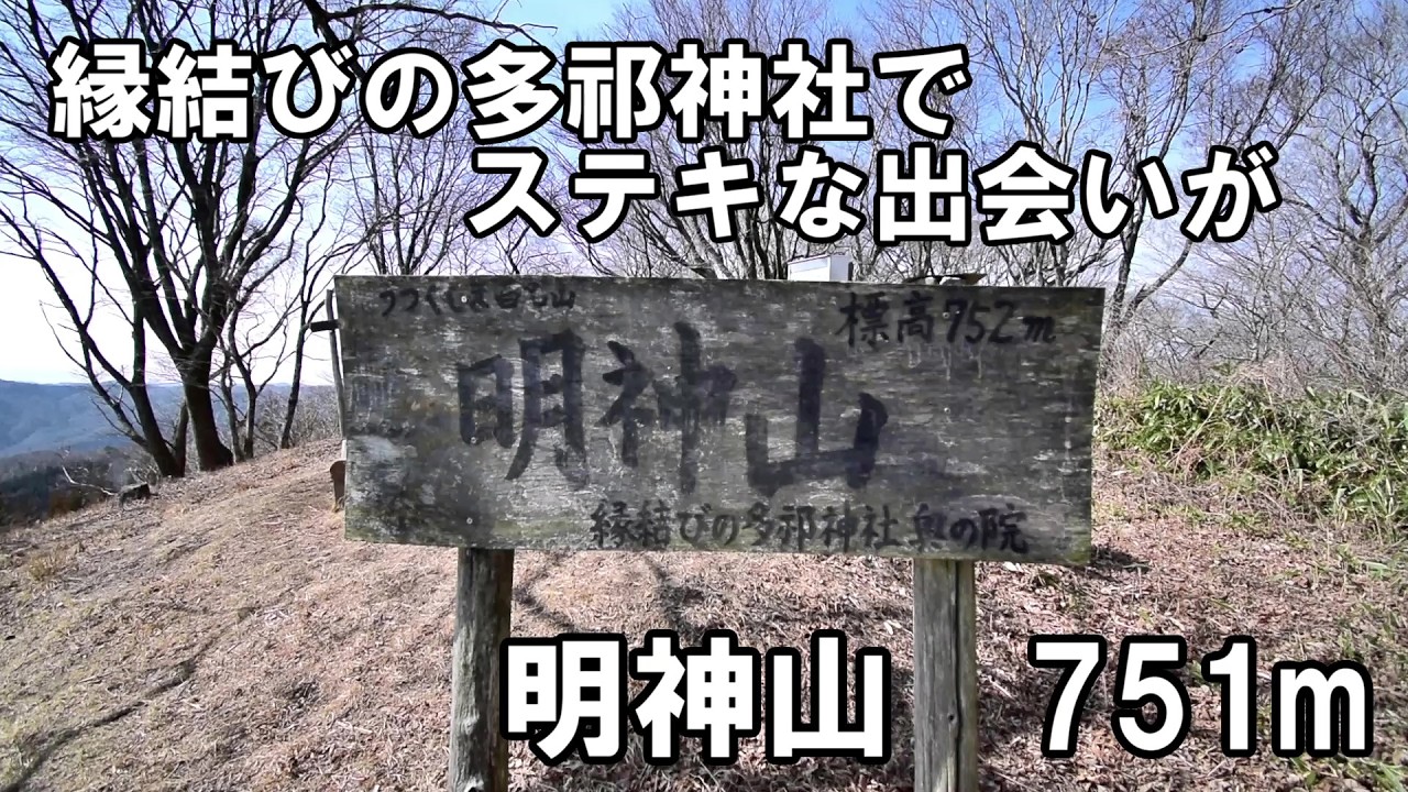 明神山 道は綺麗で眺め良し 杉の木多くてスゴい鼻水 2026年3月