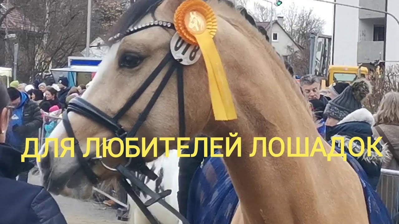 PFERDEMARKT  GEISLINGEN  2026  ЕЖЕГОДНАЯ ЛОШАДИНАЯ ЯРМАРКА В ГАЙСЛИНГЕНЕ