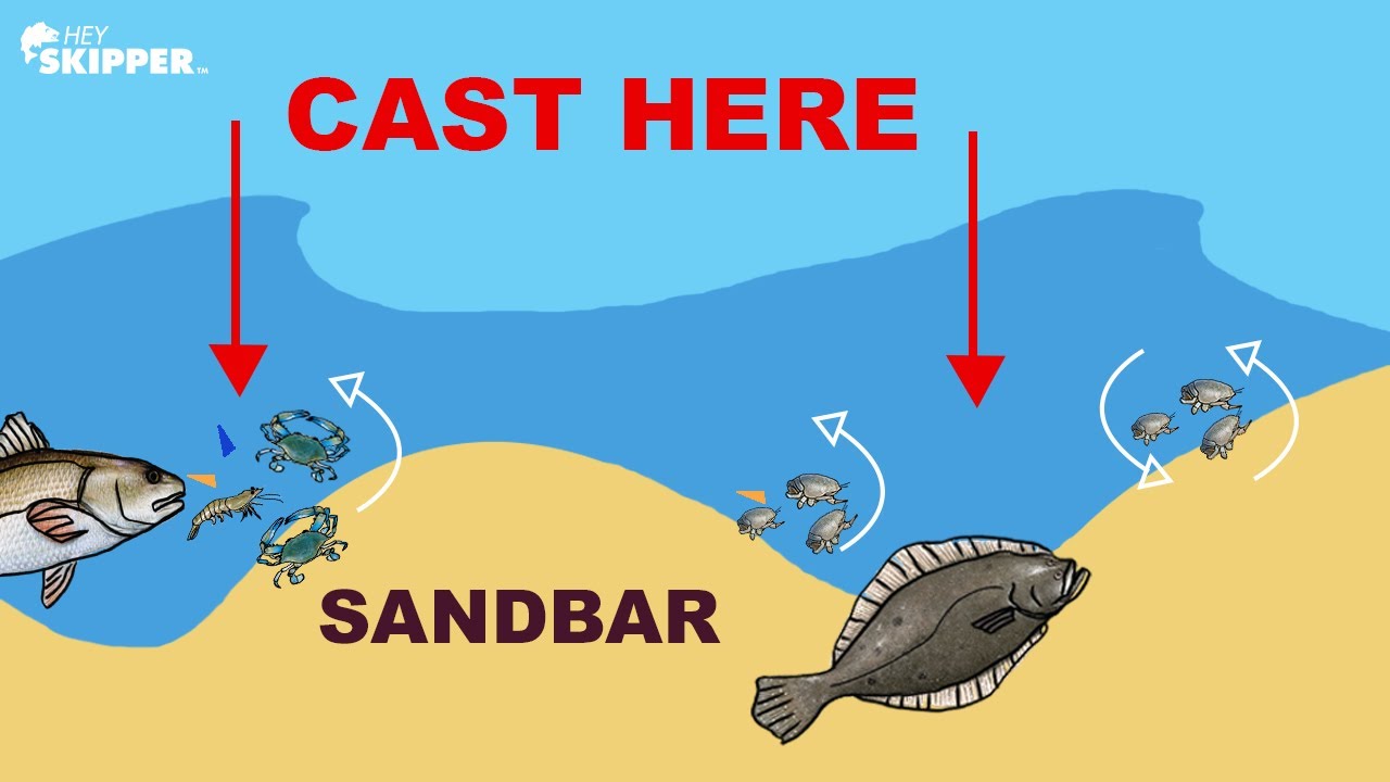 Surf fishing 101: HOW TO CATCH FISH by Reading Waves!