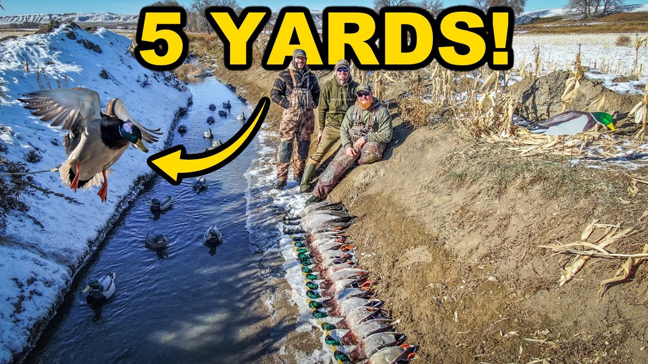SMALLEST WARM WATER CREEK DUCK HUNT EVER!!! Greenheads Only, 5-Yard Shots!