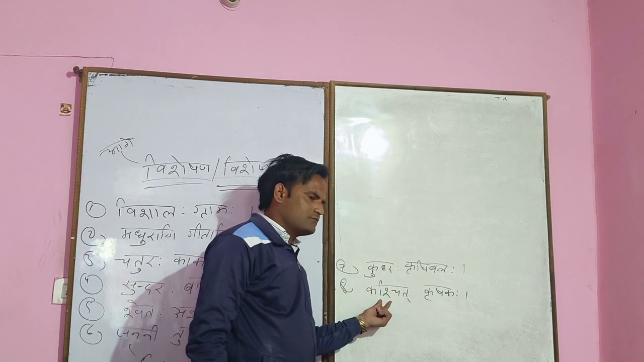 विशेषण और विशेष्य 