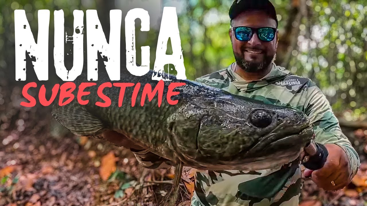 ZERO CHANCE DE TER ALGUM PEIXE NESSE LUGAR INSANO O QUE EU ACHEI NO PEQUENO LAGUINHO NO MEIO DA MATA