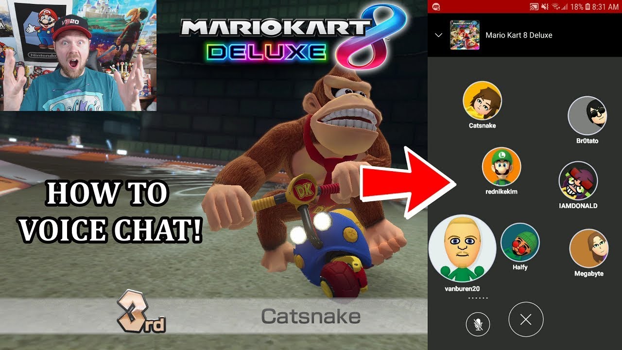 How To Voice Chat In Mario Kart 8 Deluxe!