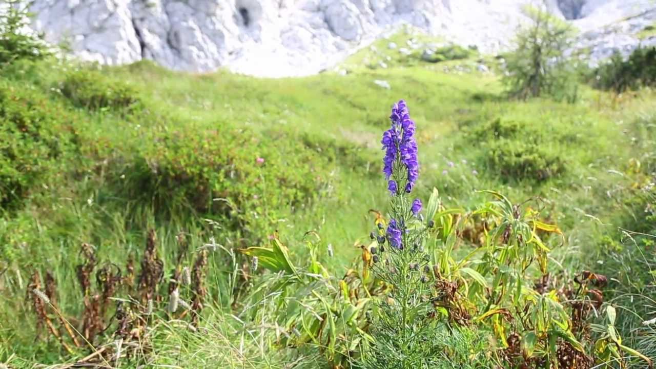 Krn - Julian Alps - Slovenia [HD]