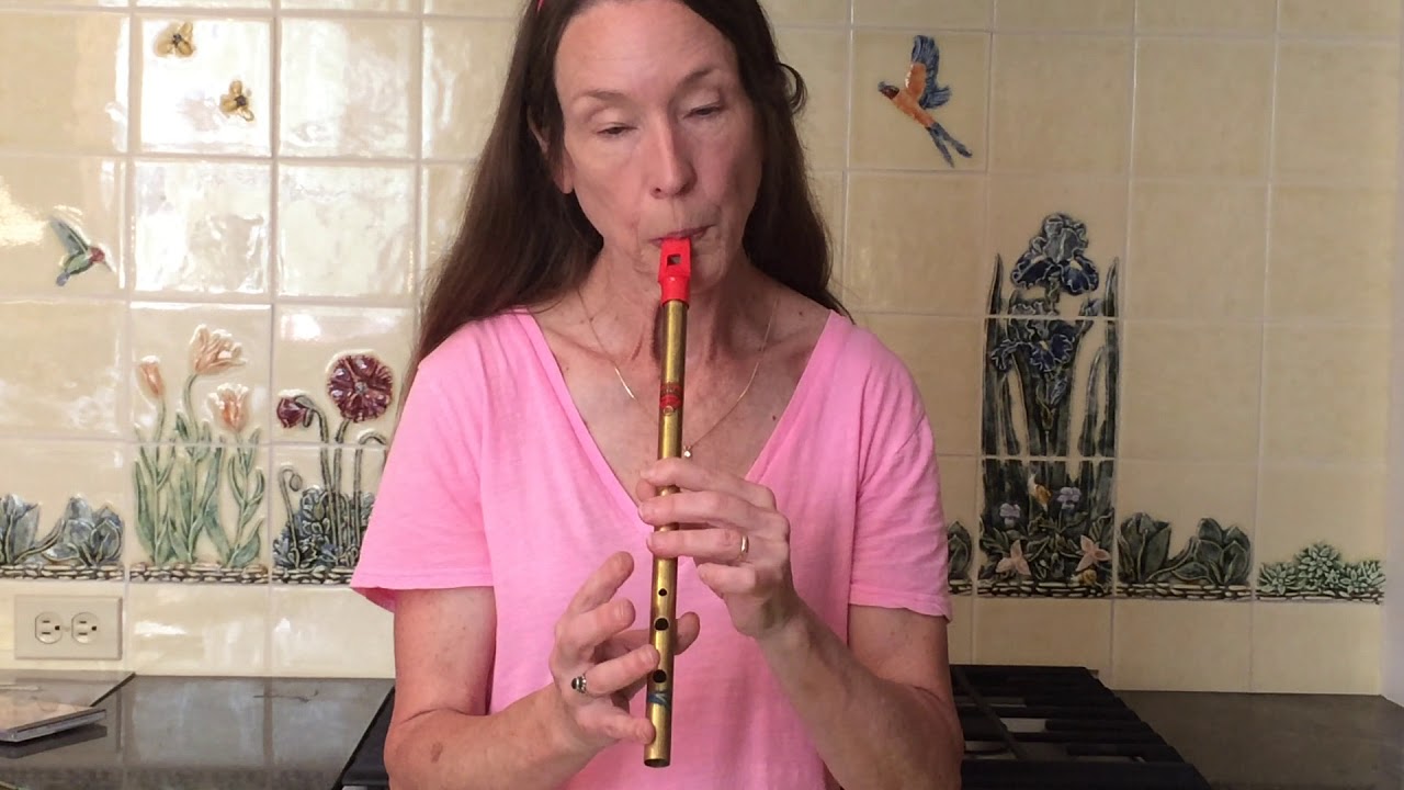 Elizabeth Kelly's Slip Jig:  Jig Techniques #14,  Advanced