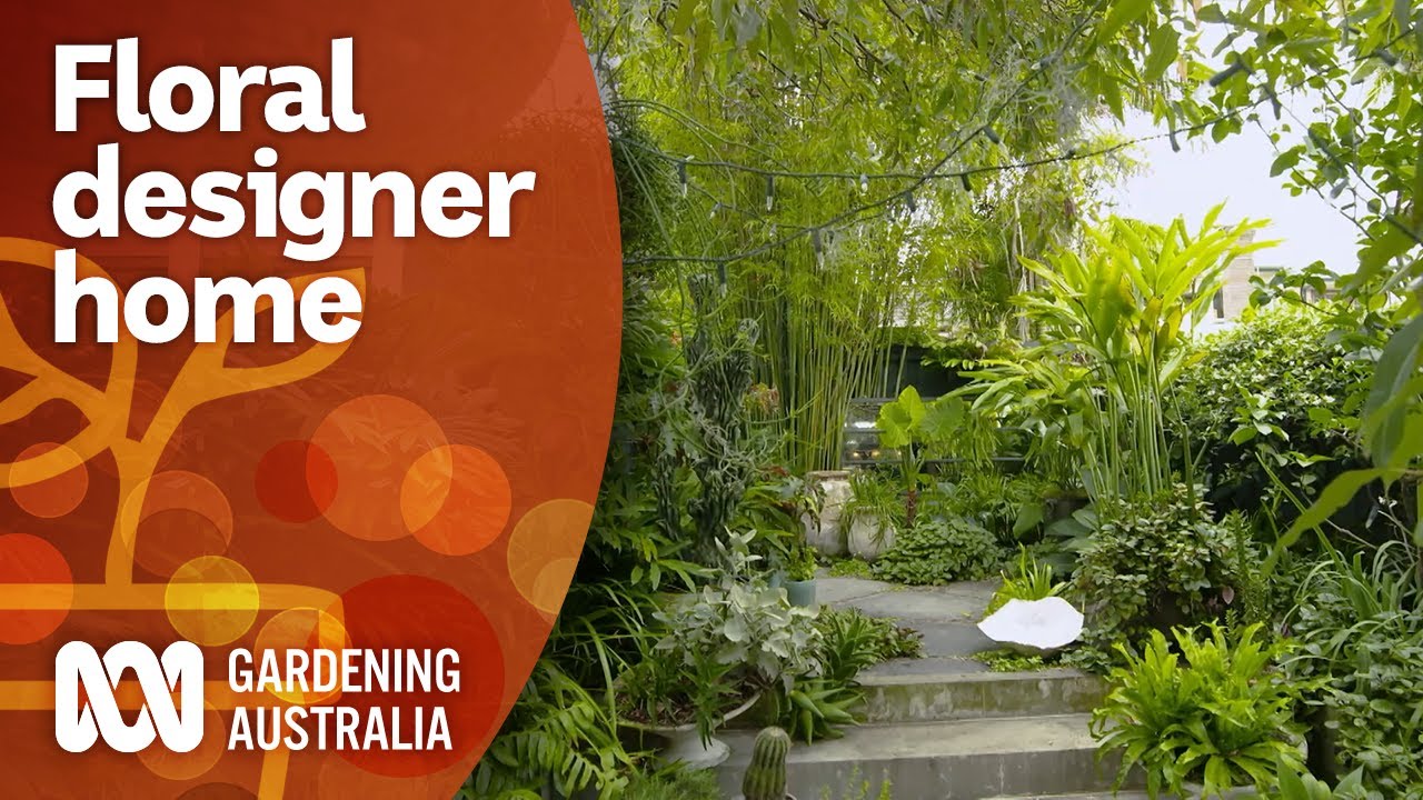 Small inner city garden delivering big results | Garden Design and Inspiration | Gardening Australia