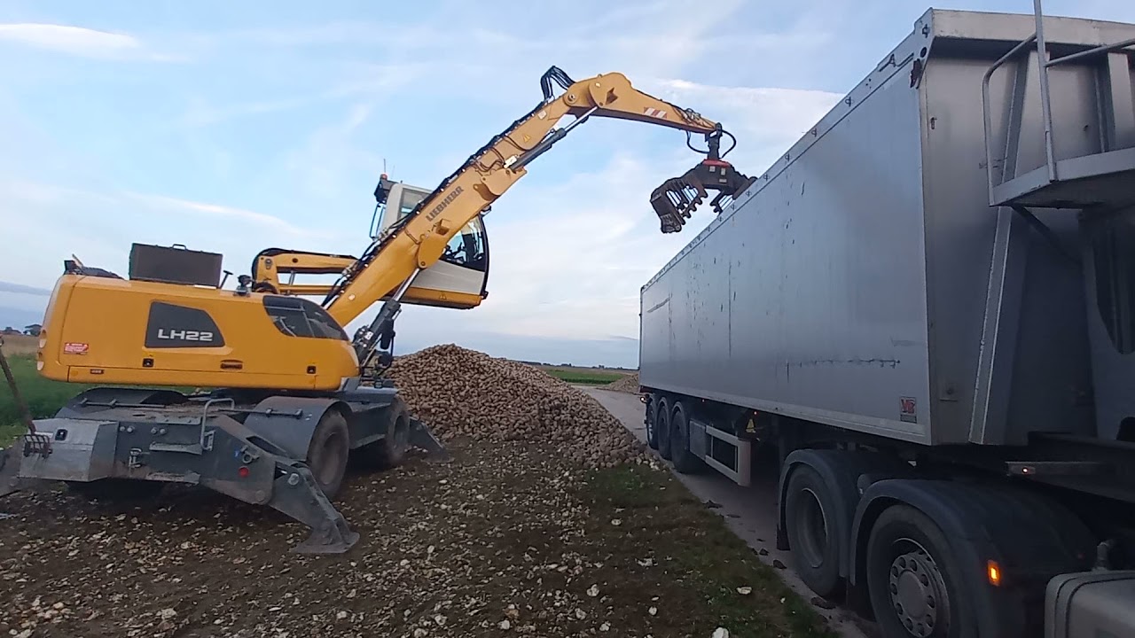 Bieten laden met de LIEBHERR LH 22. Ronald Bijl Muntendam.  loading sugarbeets