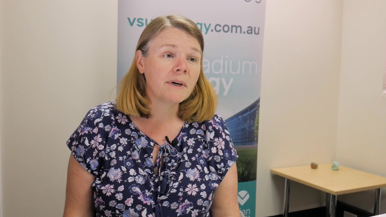 Vanadium Redox Flow Batteries