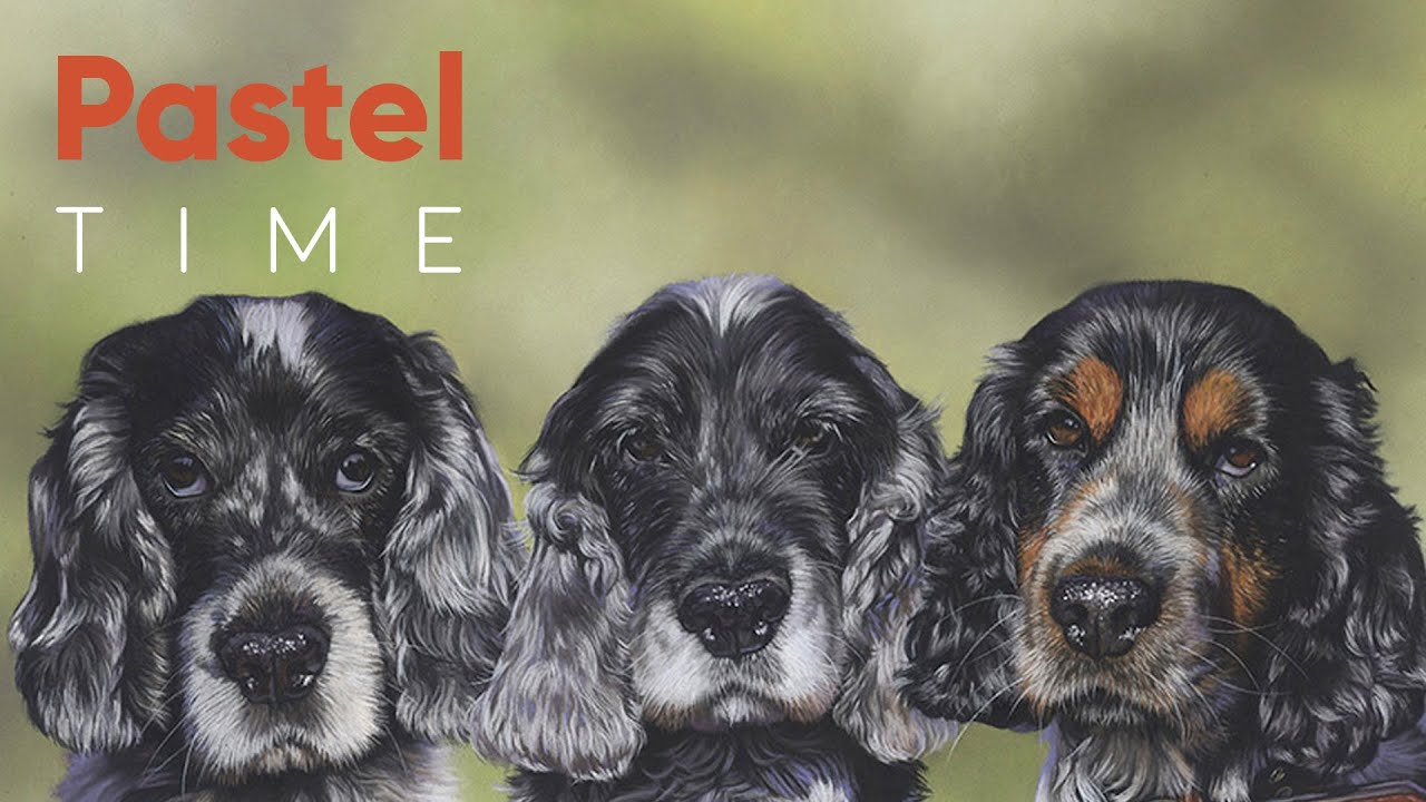 Three Spaniel Dogs in Soft Pastel - Timelapse