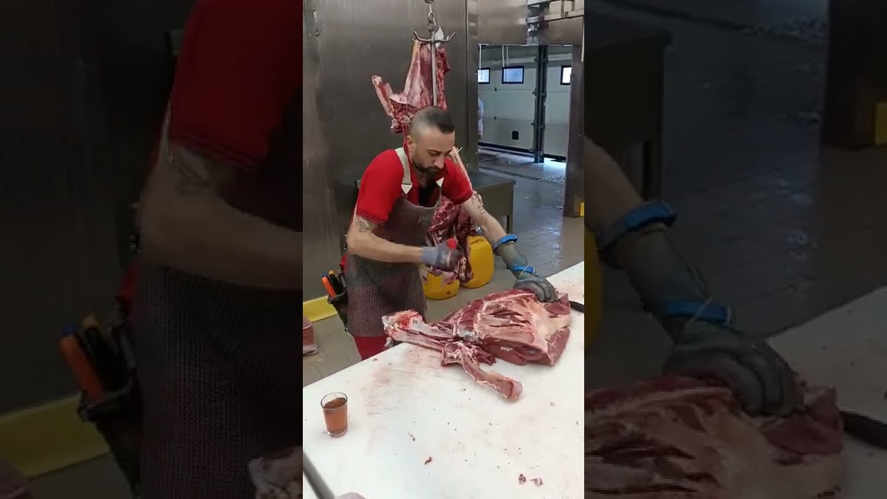 kemiksiZ TAMAY &Ouml;NAL POLAT babannemiz.